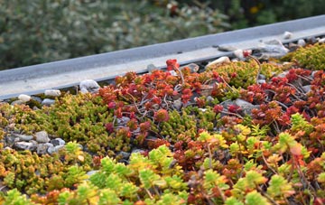 the cost of Lower Forge green roof installation