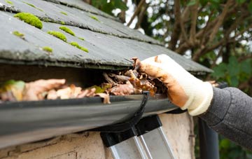 gutter cleaning Lower Forge, Shropshire